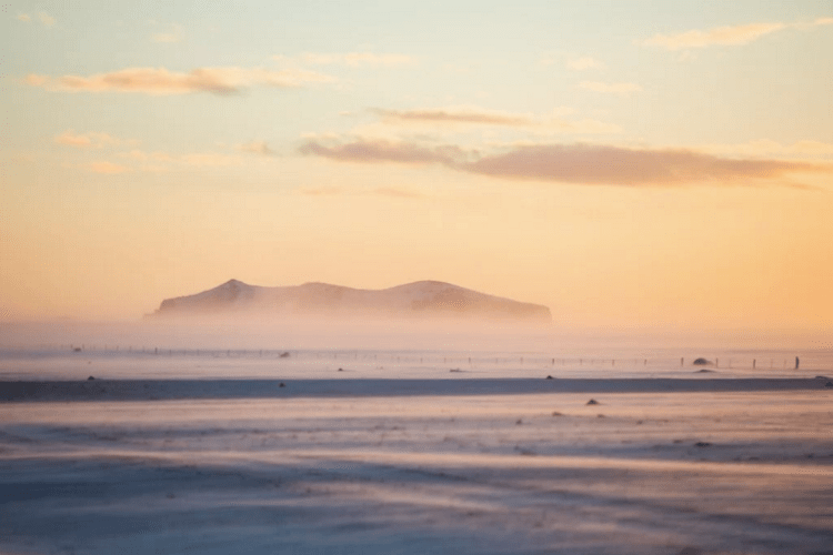 Screen Shot 2016-02-07 at 12.05.46 PM