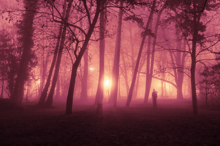 screen-shot-2017-02-01-at-7-18-06-am