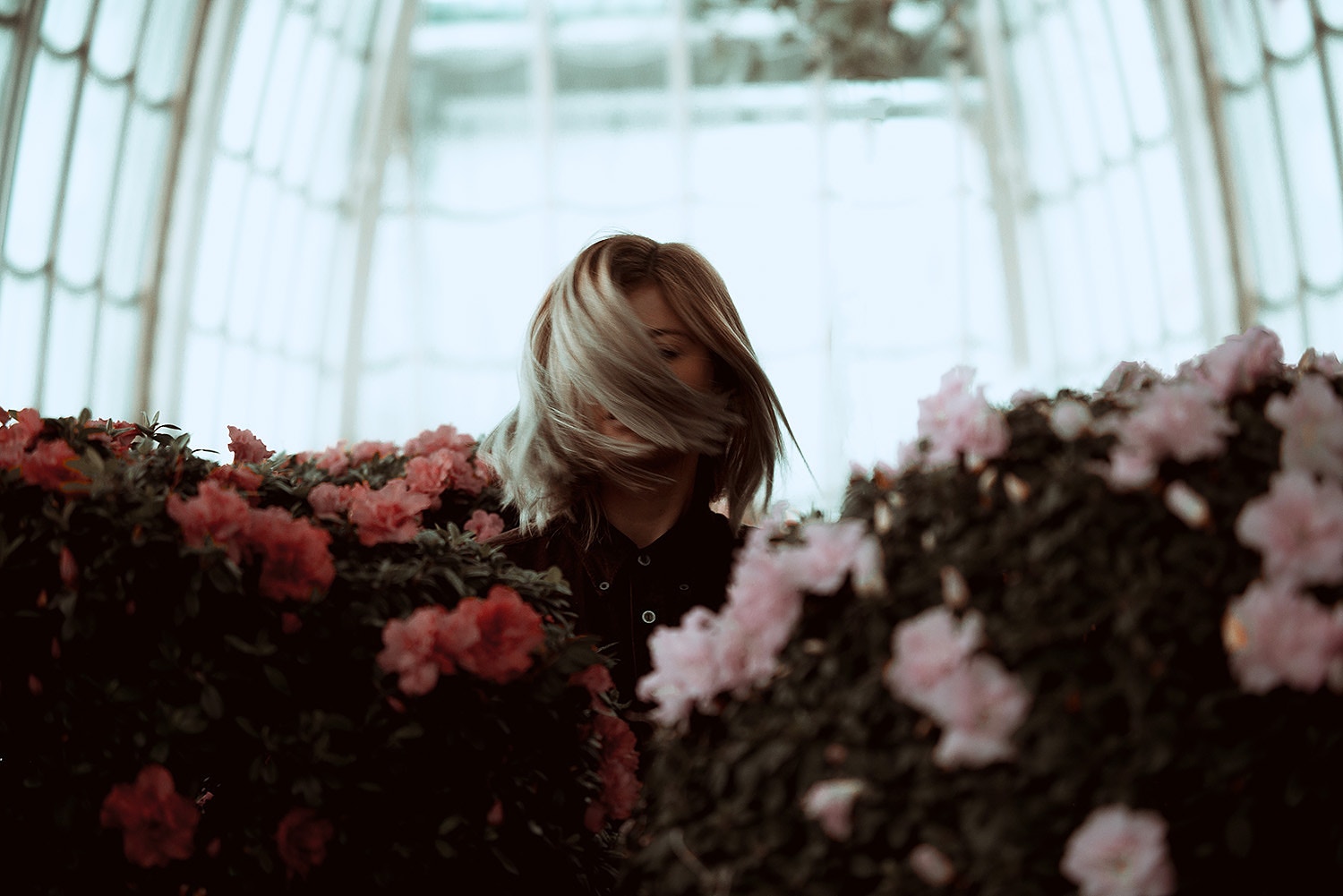 dsc0364-1872360-7167